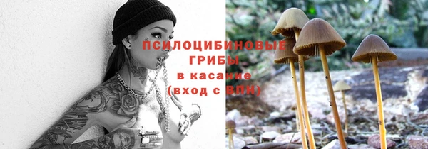 таблы Алзамай