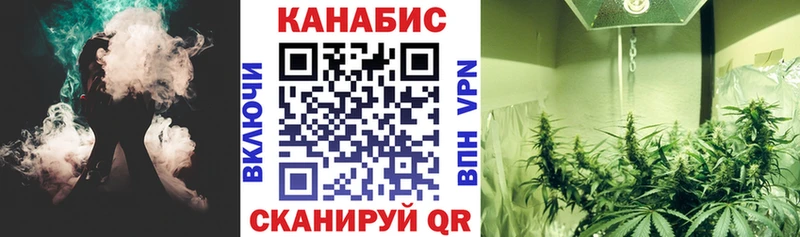 Бошки Шишки план  Нолинск 